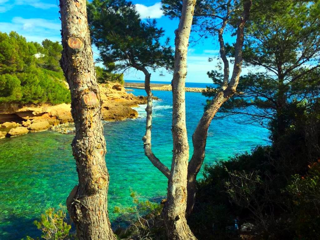 La Perla De La Ostra Villa Platja de l’Almadrava Eksteriør billede